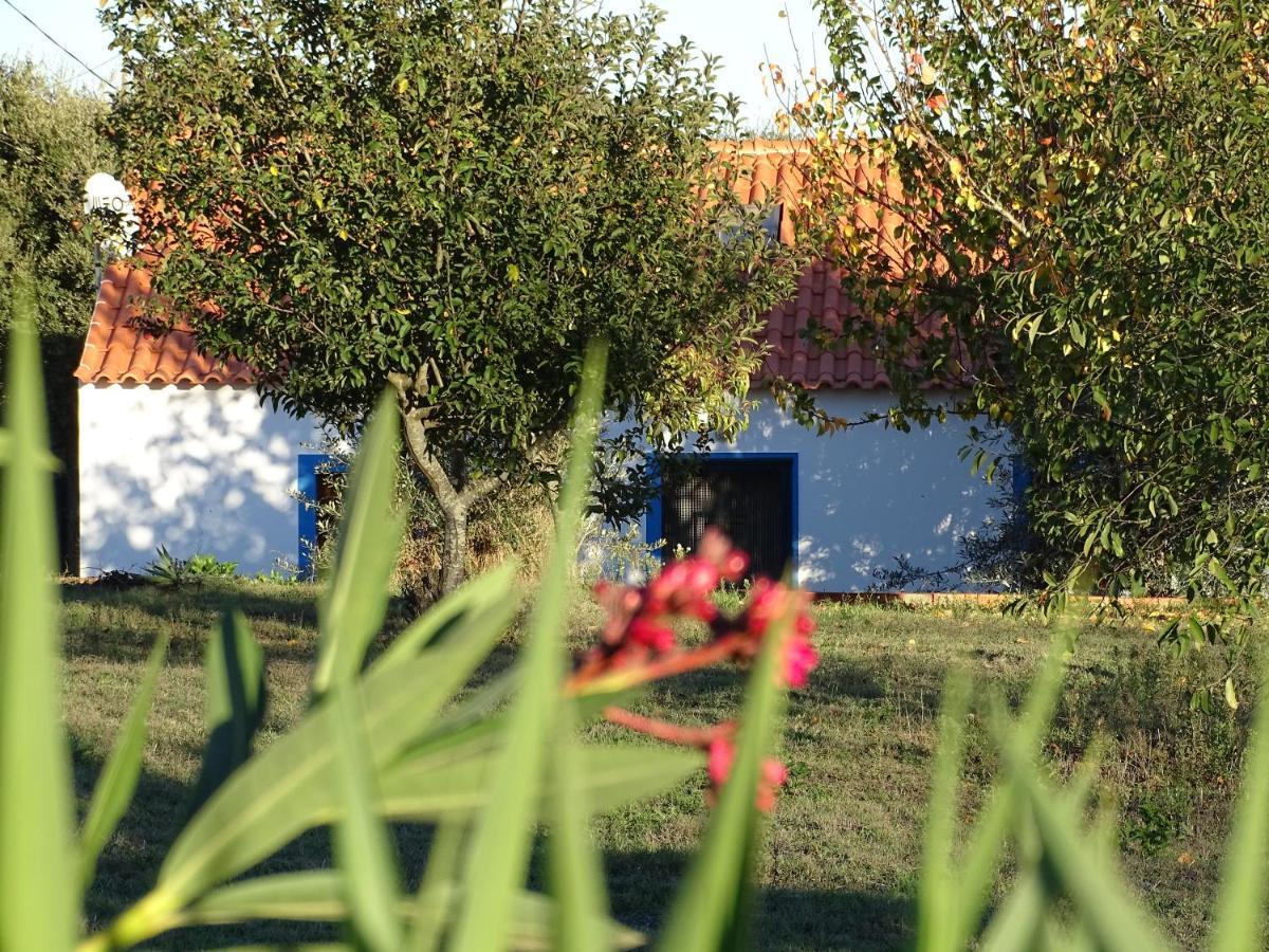 Quinta Das Teimosas By Stay In Alentejo Cercal do Alentejo Eksteriør bilde